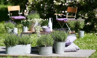 Grüner Garten mit zwei Stühlen